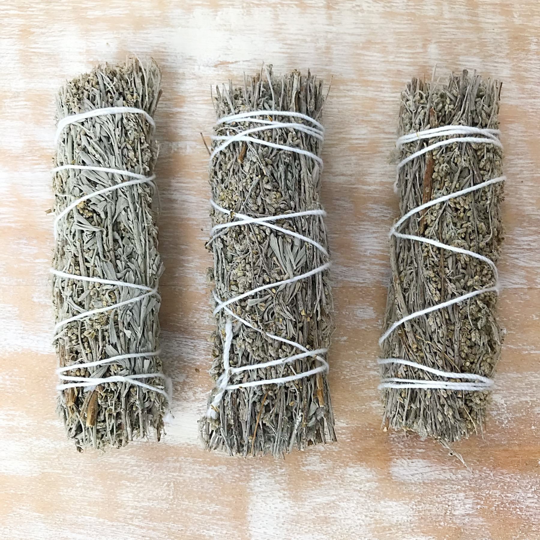 Sauge bleue - Mount Shasta Sage