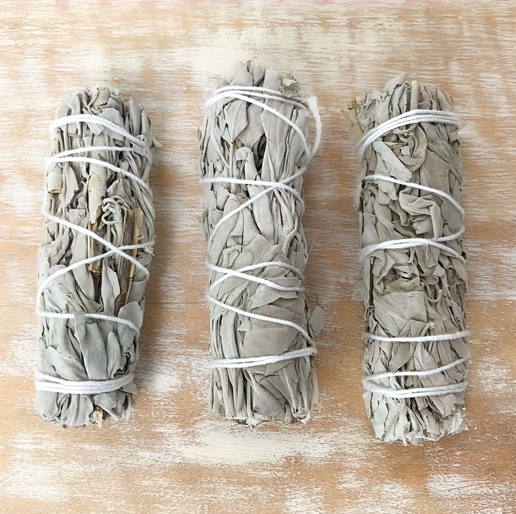 Sauge blanche - Salvia Apiana